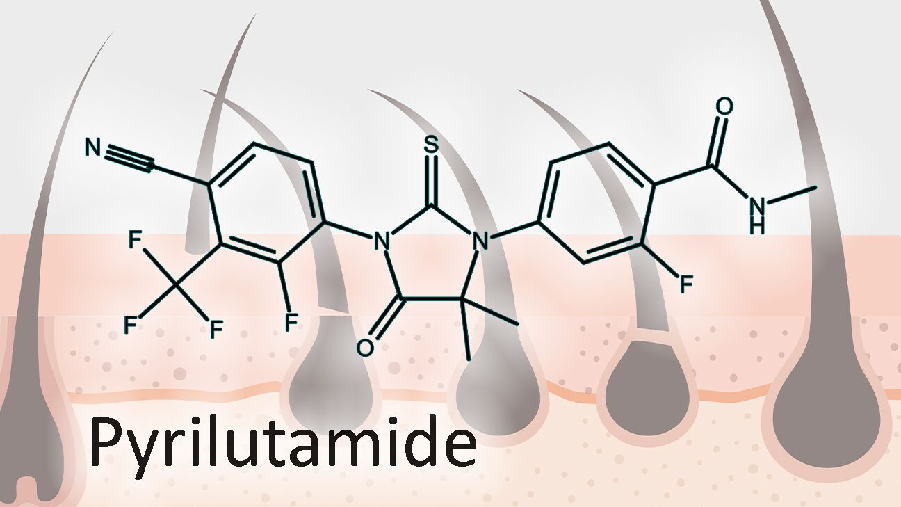 本日のタイムセール - ホットプレート / ホット Pyrilutamide for Hair Loss Treatment: What We Know So Far 収納/キッチン雑貨